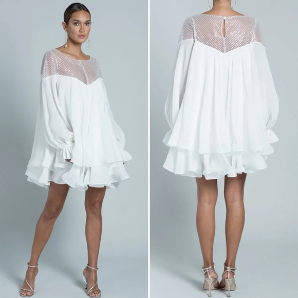NWT RIME ARODAKY Mar ruffle bead-embellished tulle silk-organza dress Size Small - Picture 4 of 16